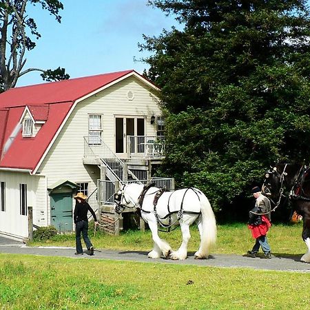 케리케리 The Carriage House-Bay Of Islands 빌라 외부 사진